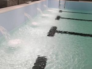 派陽山森林康養(yǎng)